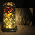 24K Gold Plating Rose  in a Glass  with LED Light